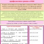 Тематическое консультирование по вопросам профилактики гриппа и ОРВИ